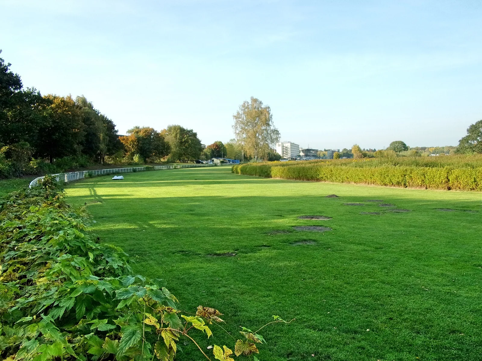 Hamburg Horner Rennbahn Park – Bild zum Beitrag Der längste Park in Hamburg - We Love Hamburg