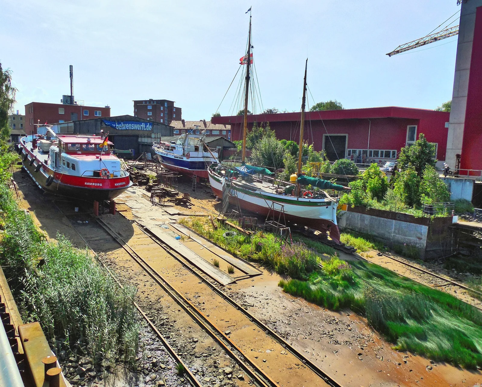 Möwe Hamburg – Bild zum Beitrag Der Sound der Stadt