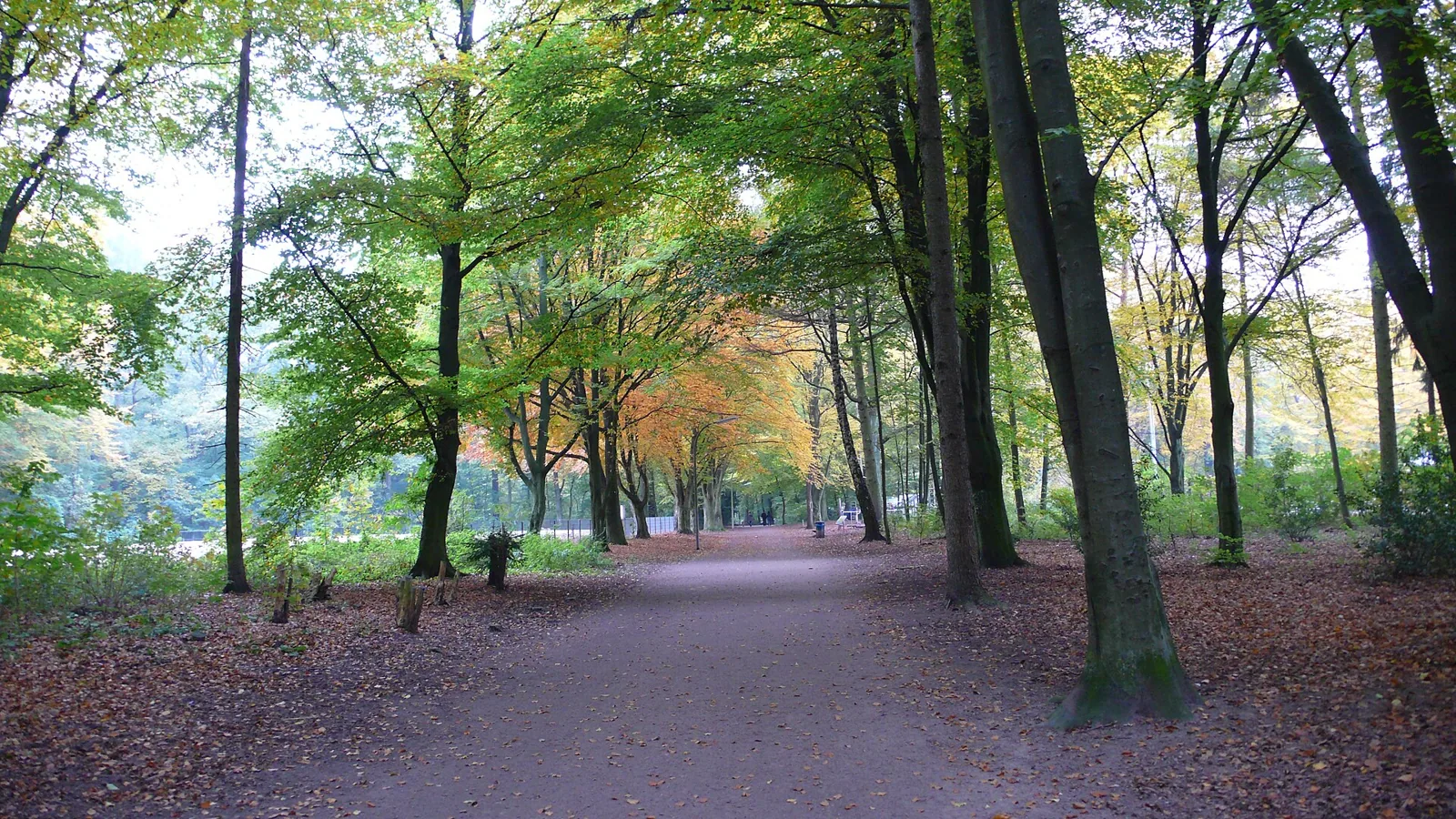 Hamburg Stadtpark – Bild zum Beitrag Grünes Hamburg - Grüne Stadt