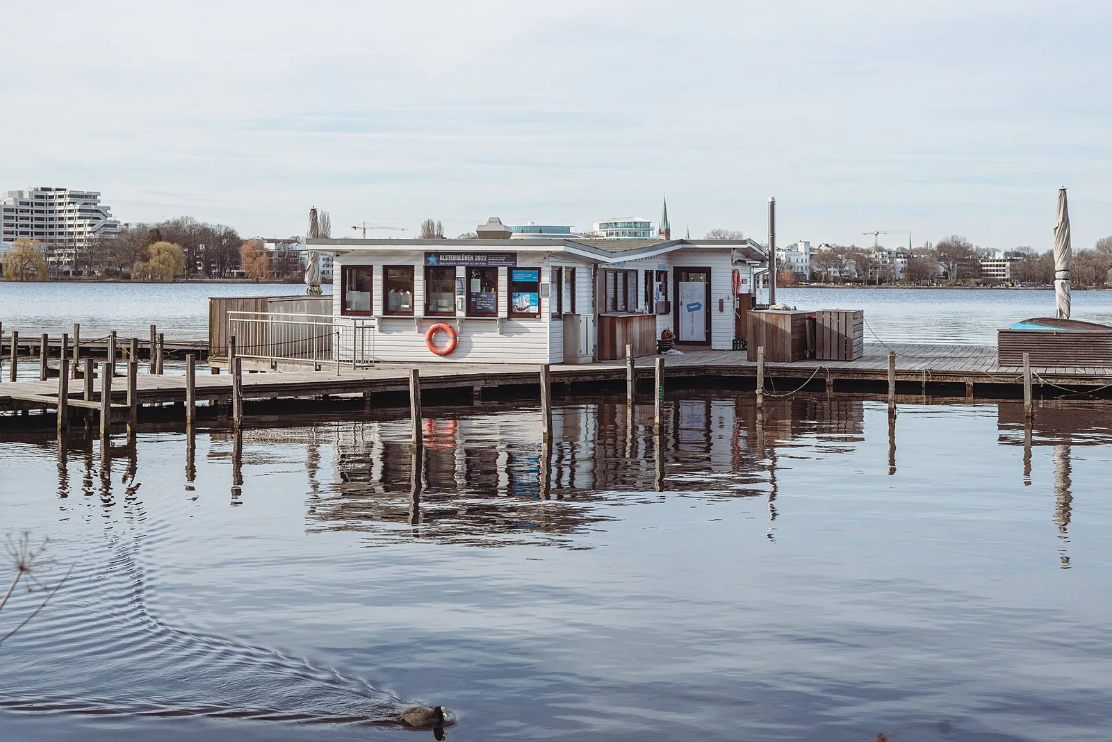 Hamburg Alster – Bild zum Beitrag Küsse in der Sonne
