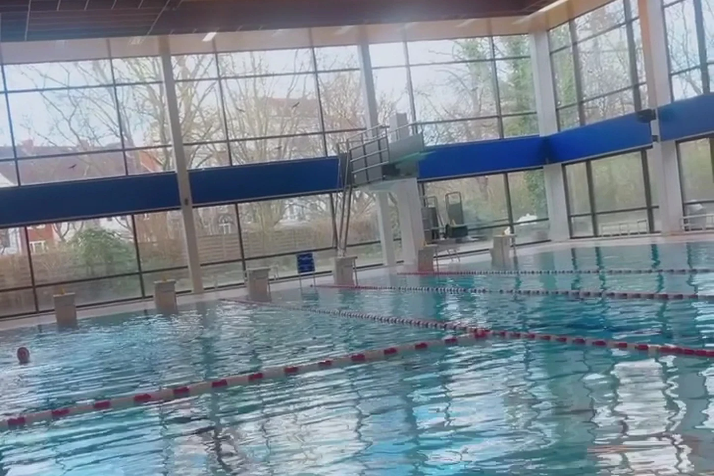 Schwimmhalle mit Becken unter einer Holzdecke