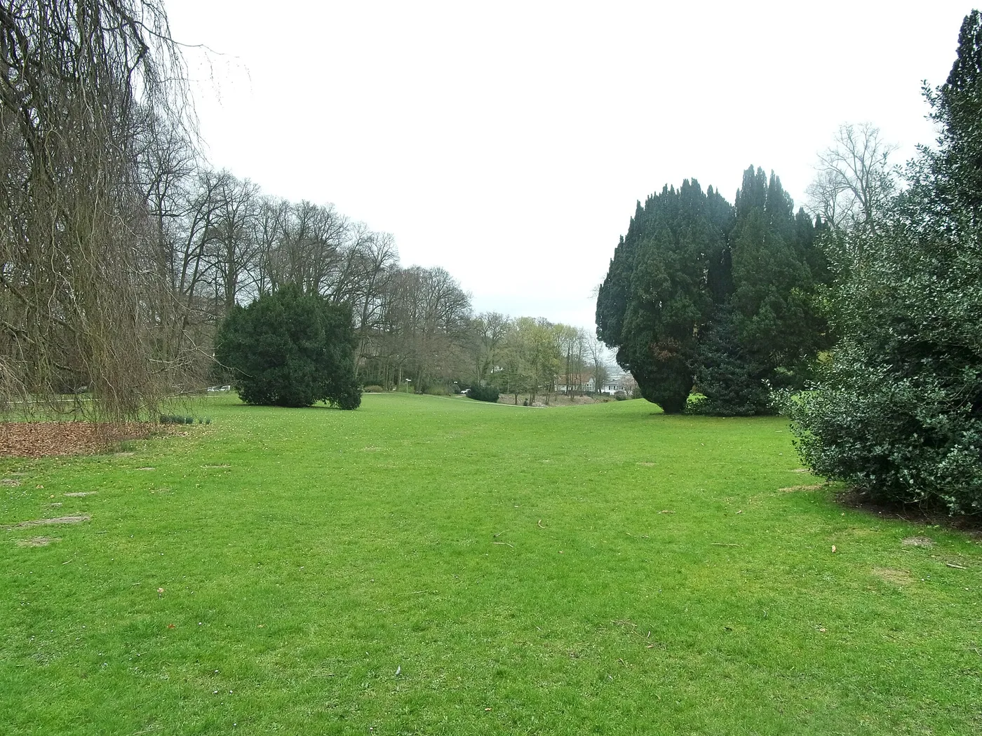 Weite Rasenfläche mit alten Bäumen in Baurs Park in Hamburg-Blankenese
