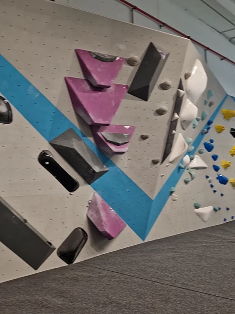 Detail einer grauen Boulderwand mit blauem Farbband und großen Griffen in Magenta, Schwarz und Weiß