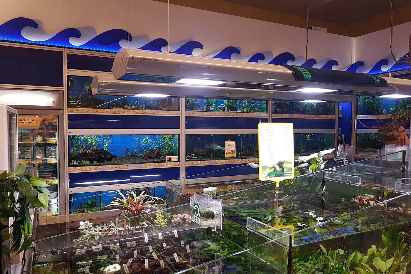 Regalwand mit Terrarien und Aquarien