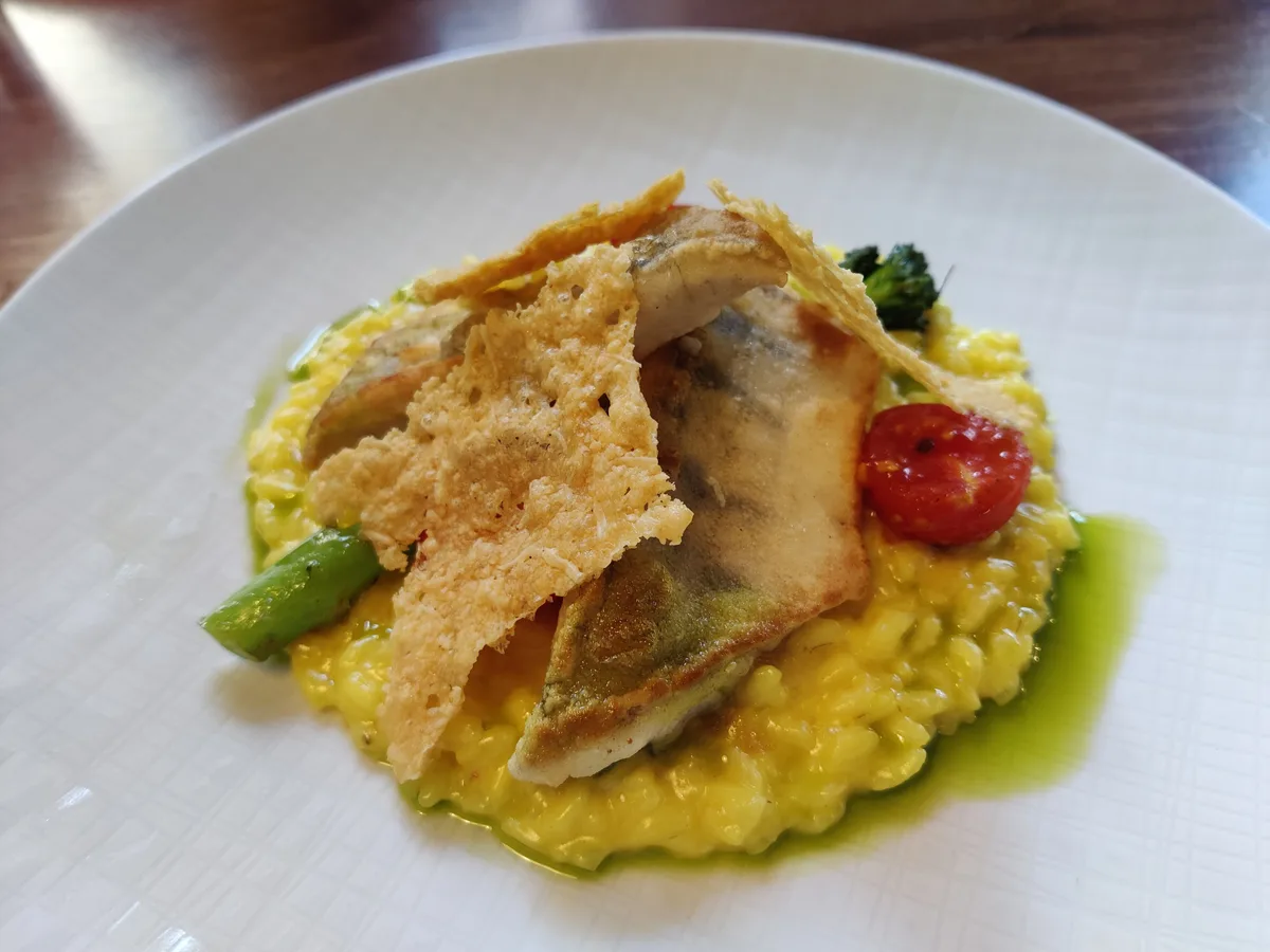 Gebratenes Zanderfilet auf gelbem Risotto mit Kirschtomate und Käsechip