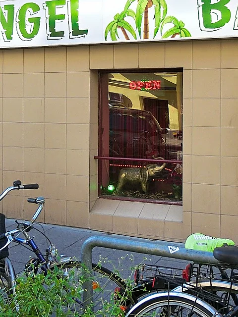 Schaufenster der Dschungel-Bar mit rotem OPEN-Schild, goldener Elefantenfigur und rotem Vorhang