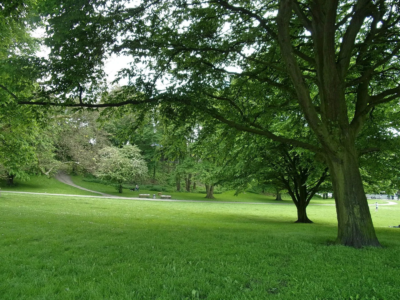 Östlicher Teil des Alten Elbparks Richtung Millerntor