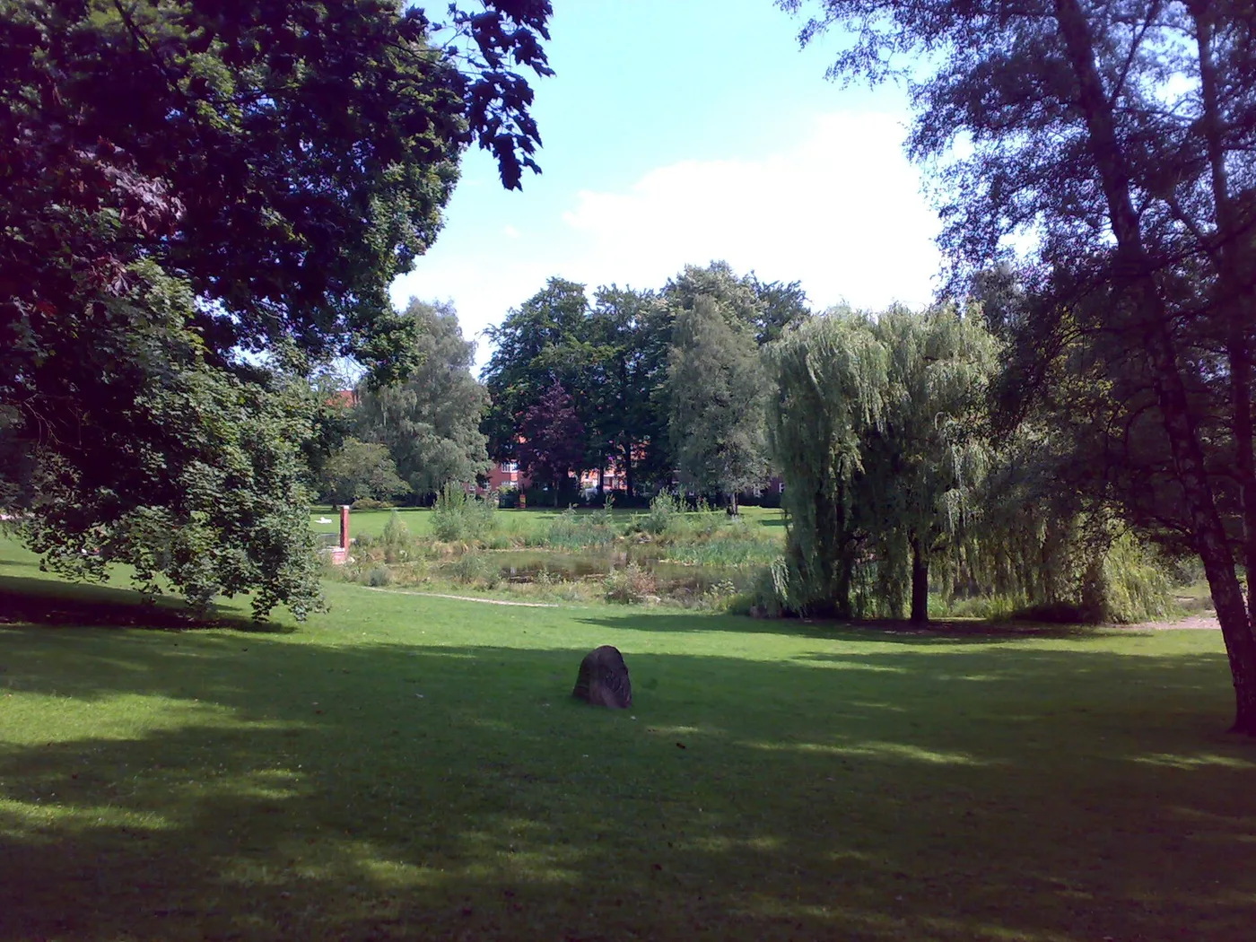 Teich und Wiese im Eppendorfer Park mit Trauerweide