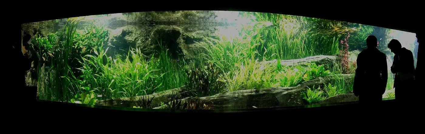 Tropen-Aquarium im Tierpark Hagenbeck von außen