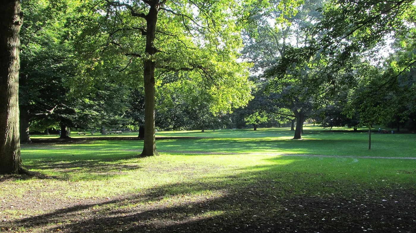 Große Wiese mit altem Baumbestand im Hammer Park