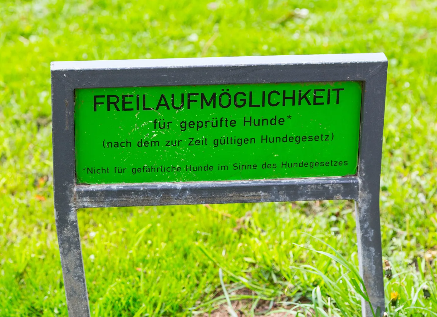 Geschwungener Weg durch den Hessepark in Blankenese