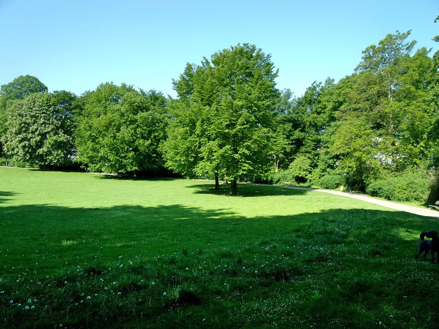 Wege und Baumbestand im Innocentiapark