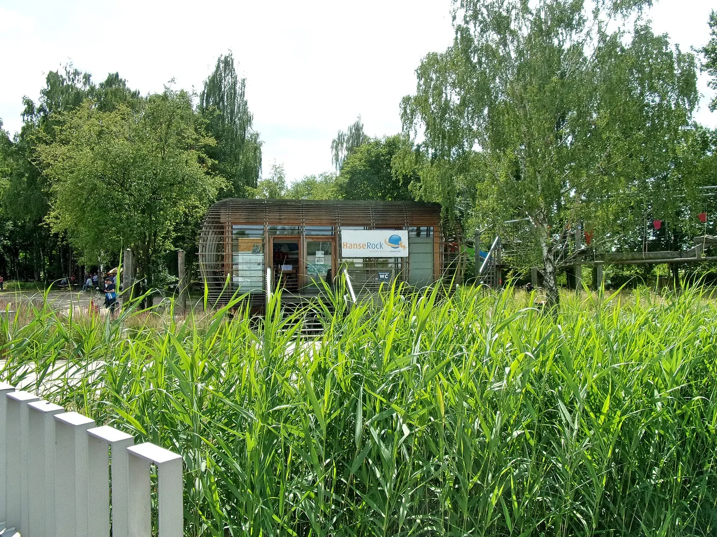 Hochseilgarten im Wilhelmsburger Inselpark zwischen Bäumen