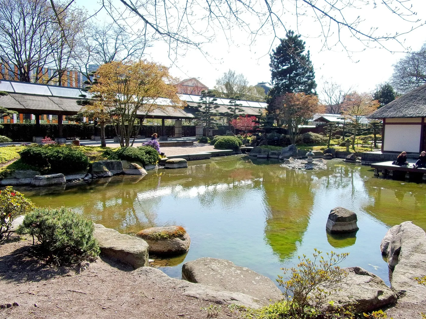 Blühende Gehölze im Japanischen Garten im Frühjahr