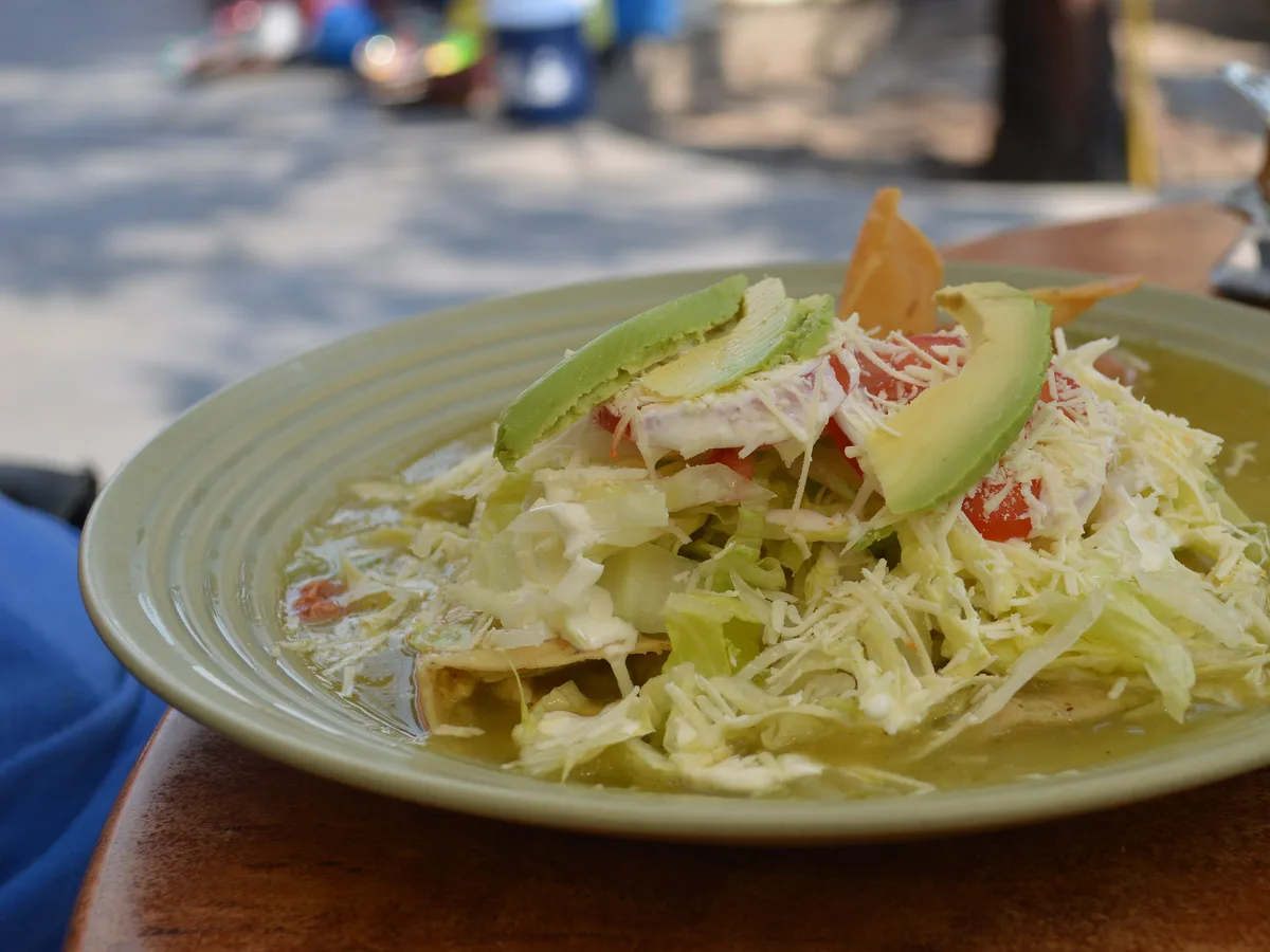 Enchiladas in grüner Sauce mit Käse, Salat, Tomate und Avocado auf einem grünen Teller