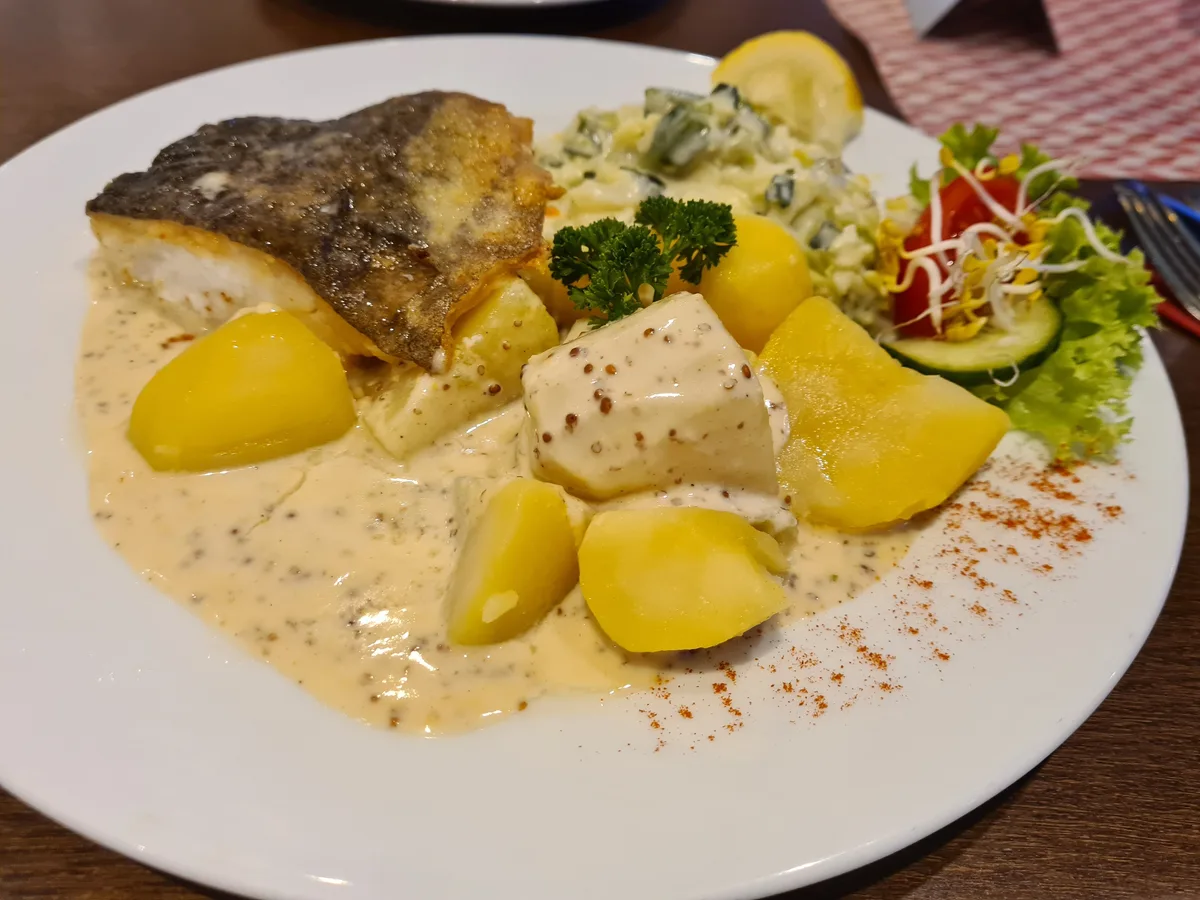Gebratenes Fischfilet mit Senfsauce, Salzkartoffeln und Gurkensalat auf einem weißen Teller