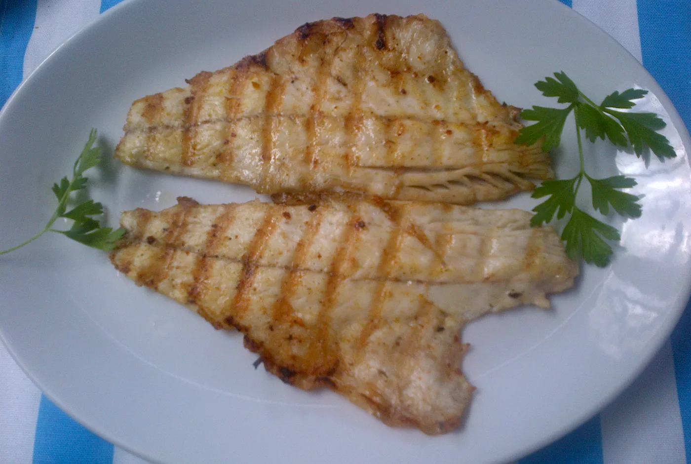 Zwei gegrillte Fischfilets mit Grillstreifen und Petersilie auf einem weißen Teller