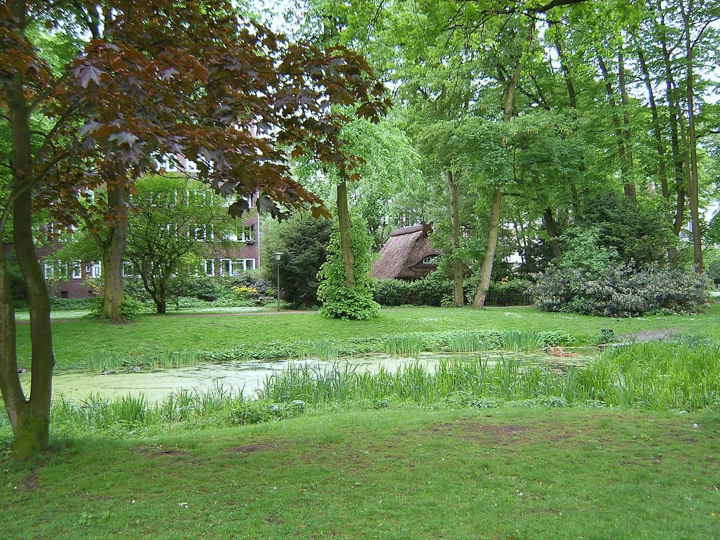 Teich mit Schilf und Reetdachhaus im Kellinghusenpark in Hamburg-Eppendorf