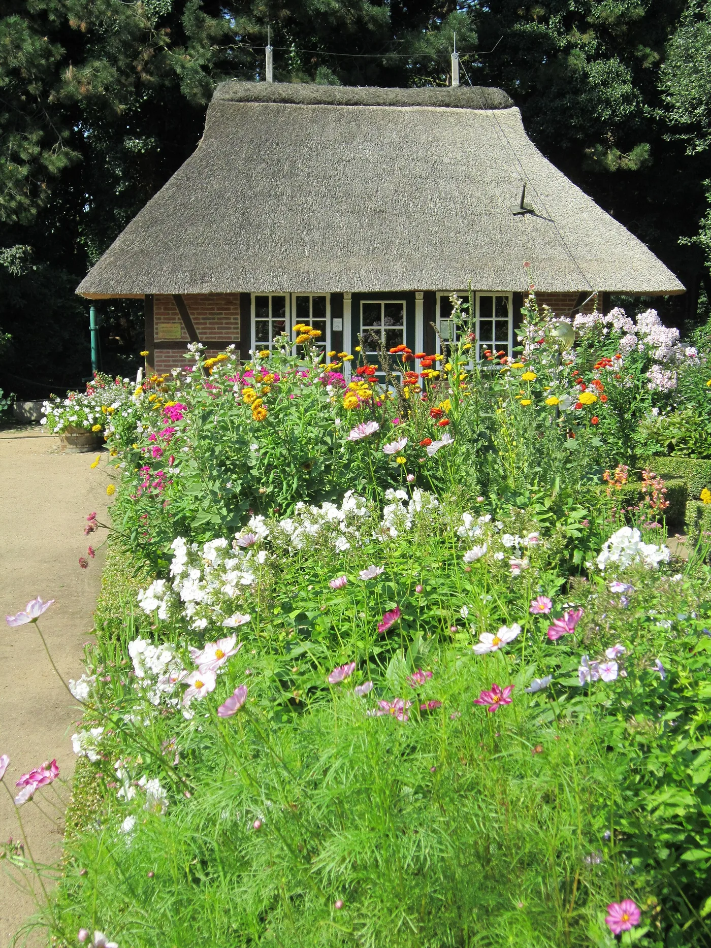 Bauerngarten mit Beeten und Wegen im Loki-Schmidt-Garten