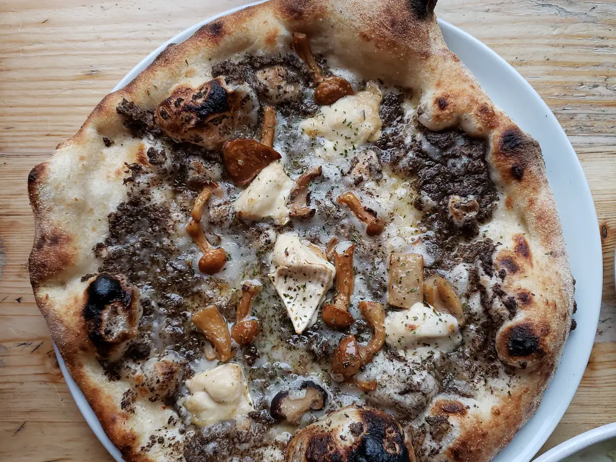 Pizza mit Trüffel, Pilzen und Mozzarella auf einem hellen Teller
