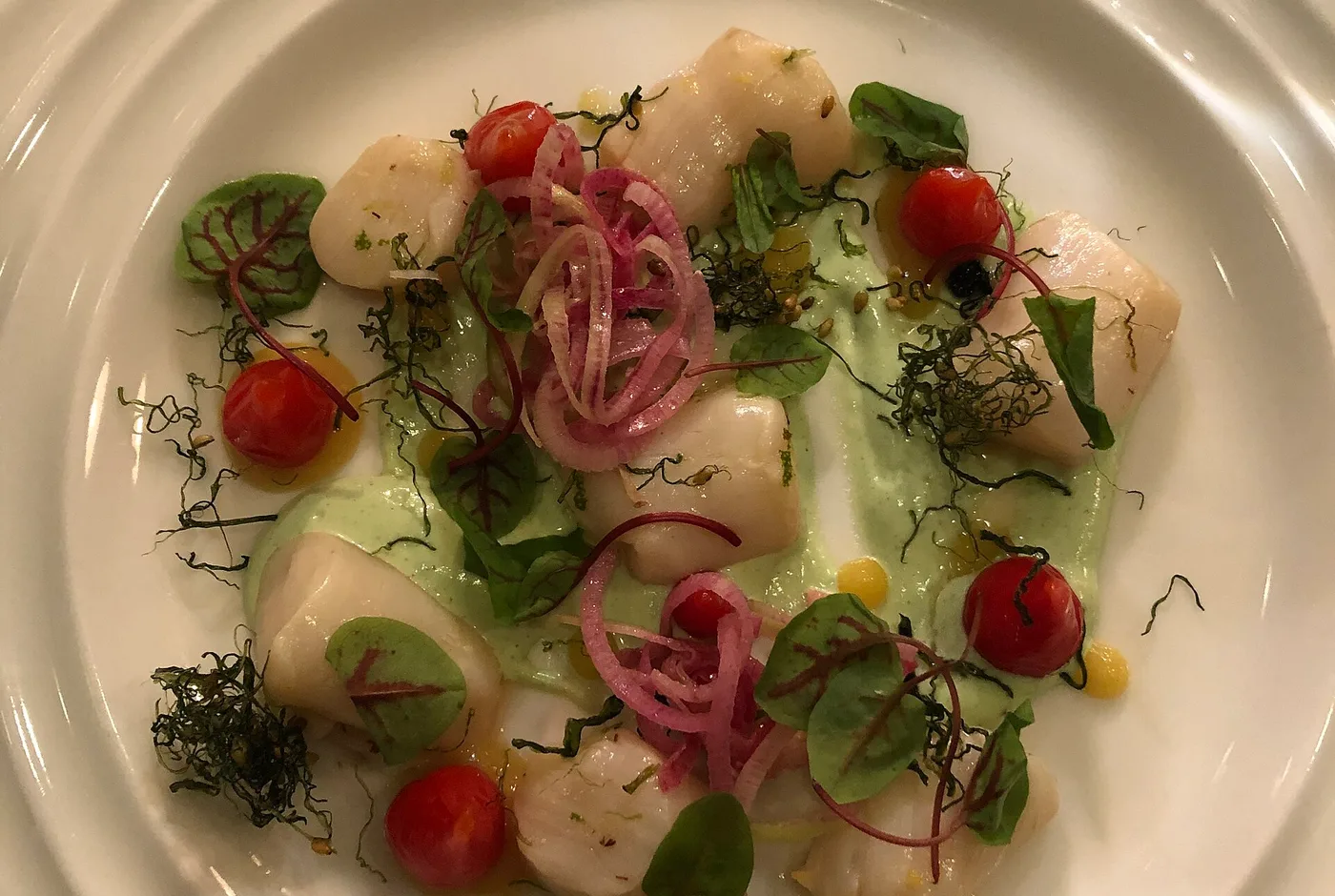 Ceviche mit hellen Fischstücken, grüner Sauce, roten Zwiebelringen, Kirschtomaten und Kräutern auf einem weißen Teller