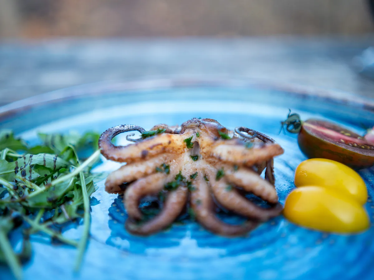 Gebratener Oktopus mit Rucola und Tomaten auf einem blauen Teller
