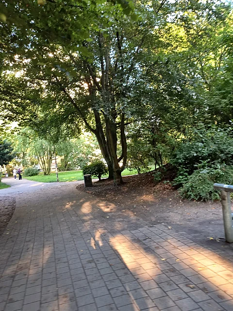Gepflasterter Weg durch den Walter-Möller-Park zwischen Bäumen und Wiesen