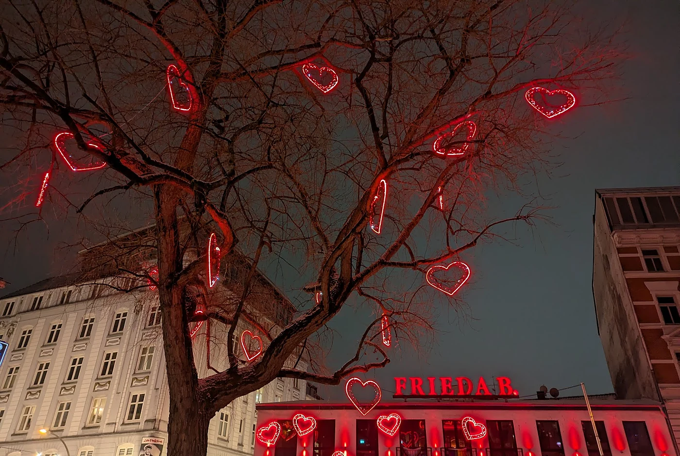 place-frieda-b.webp