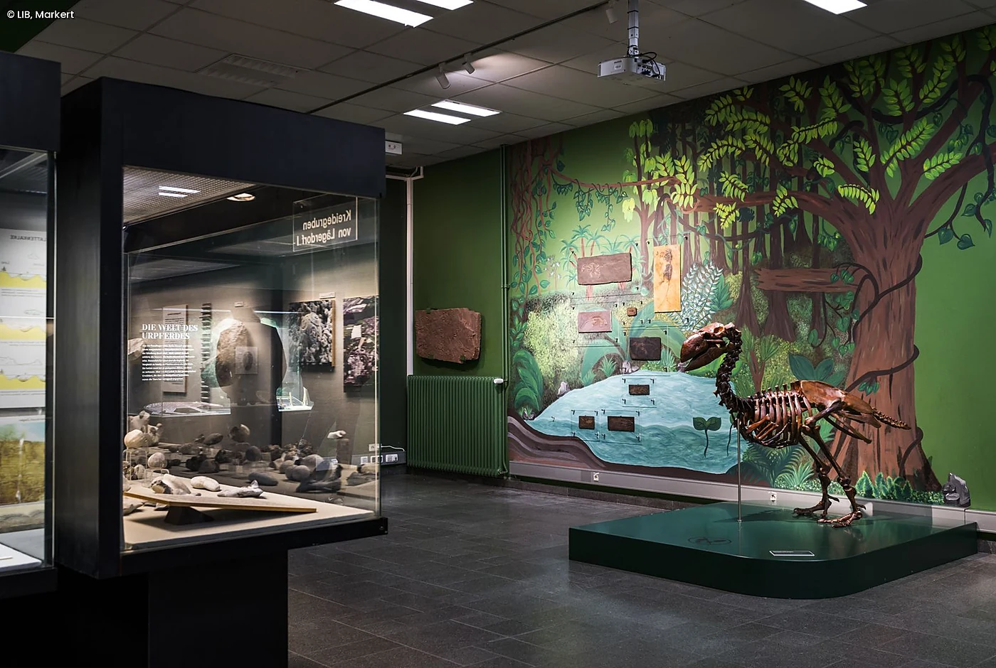 place-geologisch-palaontologisches-museum-geomatikum-der-universit.webp