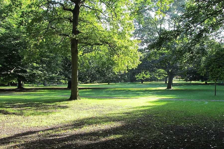 place-hammer-park.webp