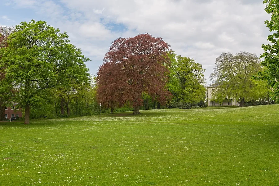 place-hesse-park.webp