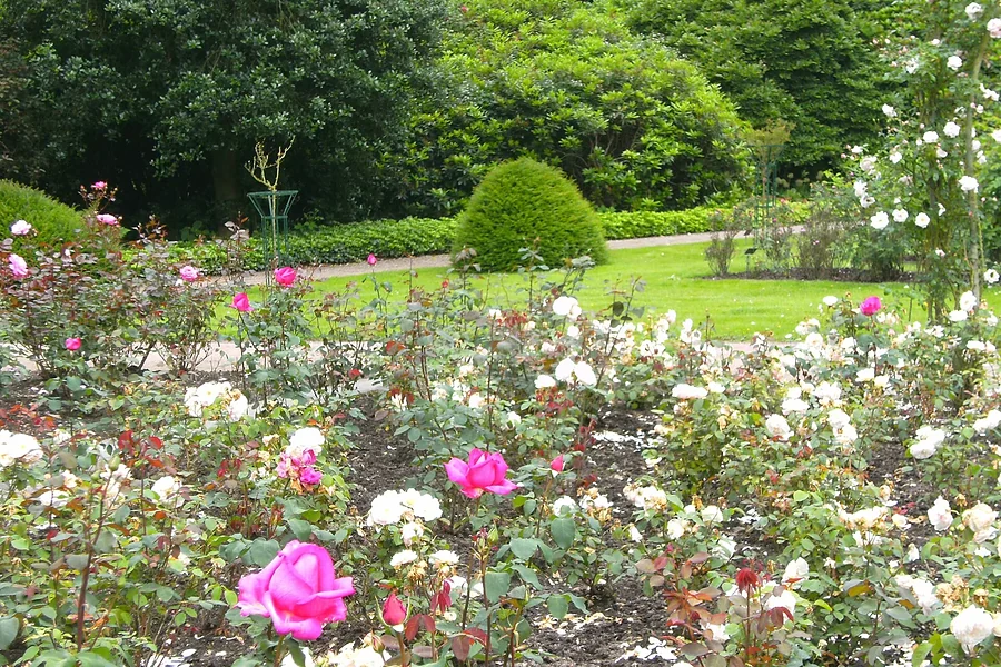 place-ohlsdorfer-friedhof.webp