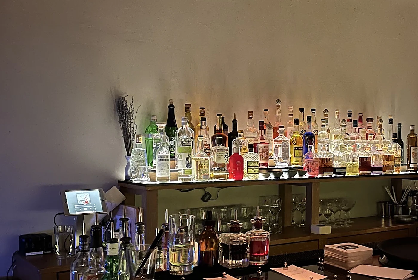 place-the-walrus-bar.webp