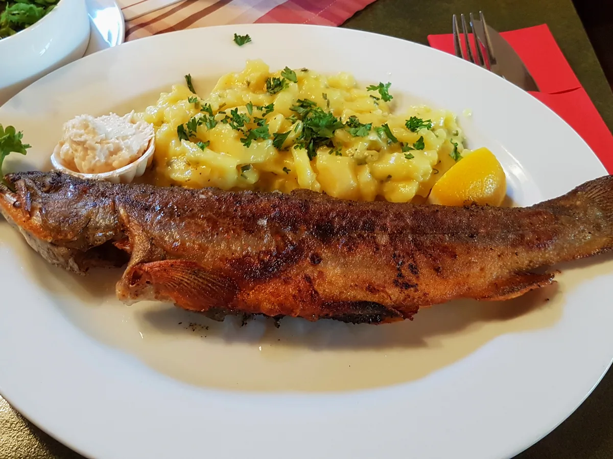 Ganzer gebratener Saibling mit Kartoffelsalat, Zitrone und Meerrettich auf einem weißen Teller