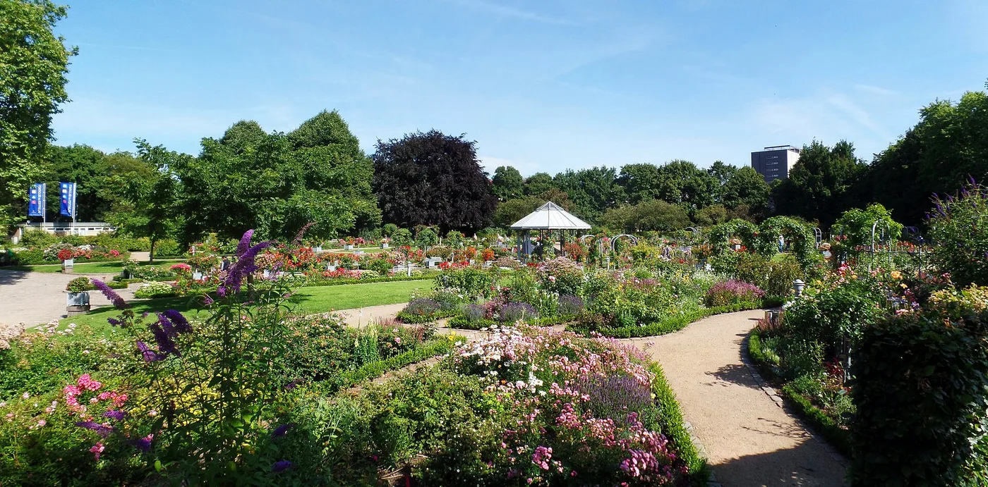 Panorama des Rosengartens in Planten un Blomen mit Pavillon und blühenden Beeten