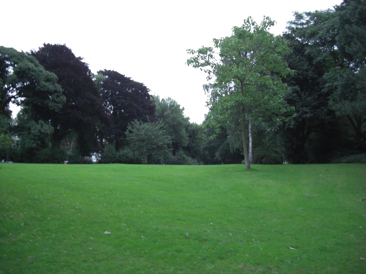 Rasenfläche mit altem Baumbestand im Rosengarten in Hamburg-Ottensen