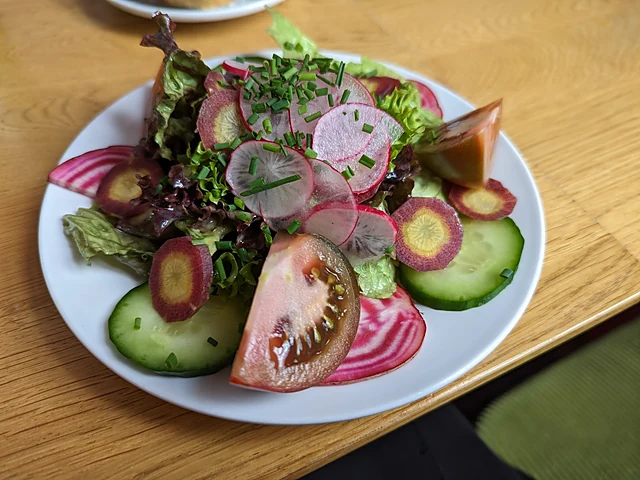 Bunter Salat mit Ringelbete, Radieschen, Tomate, Gurke und Schnittlauch auf weißem Teller