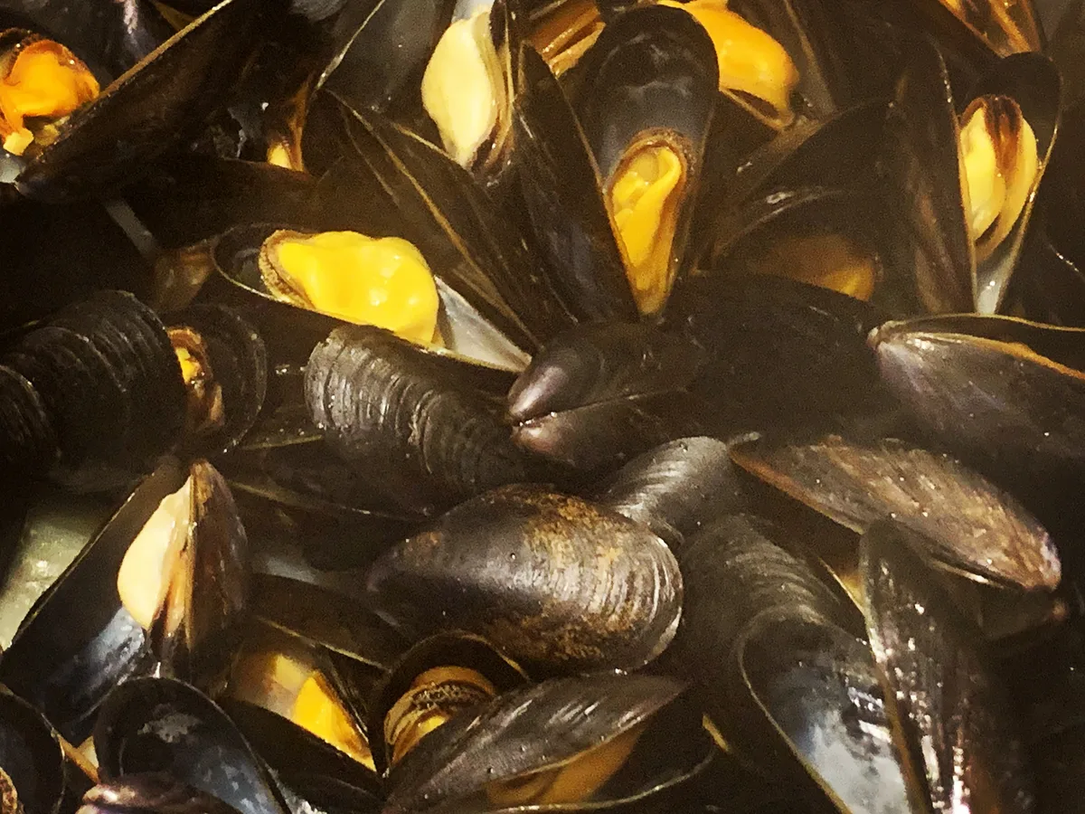 Geöffnete Miesmuscheln in einem Topf