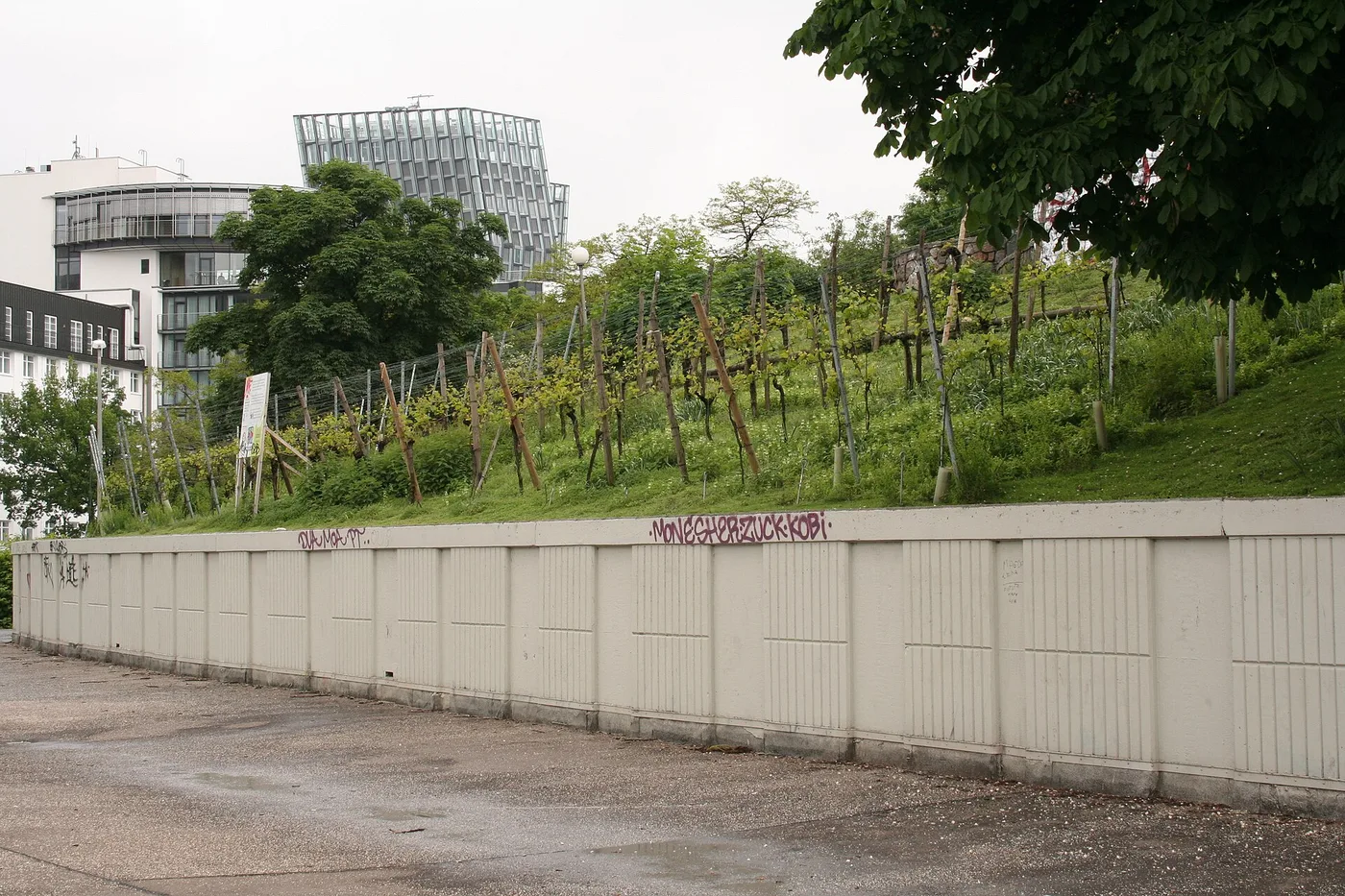 Ehemaliger Weinberg auf dem Stintfang in Hamburg