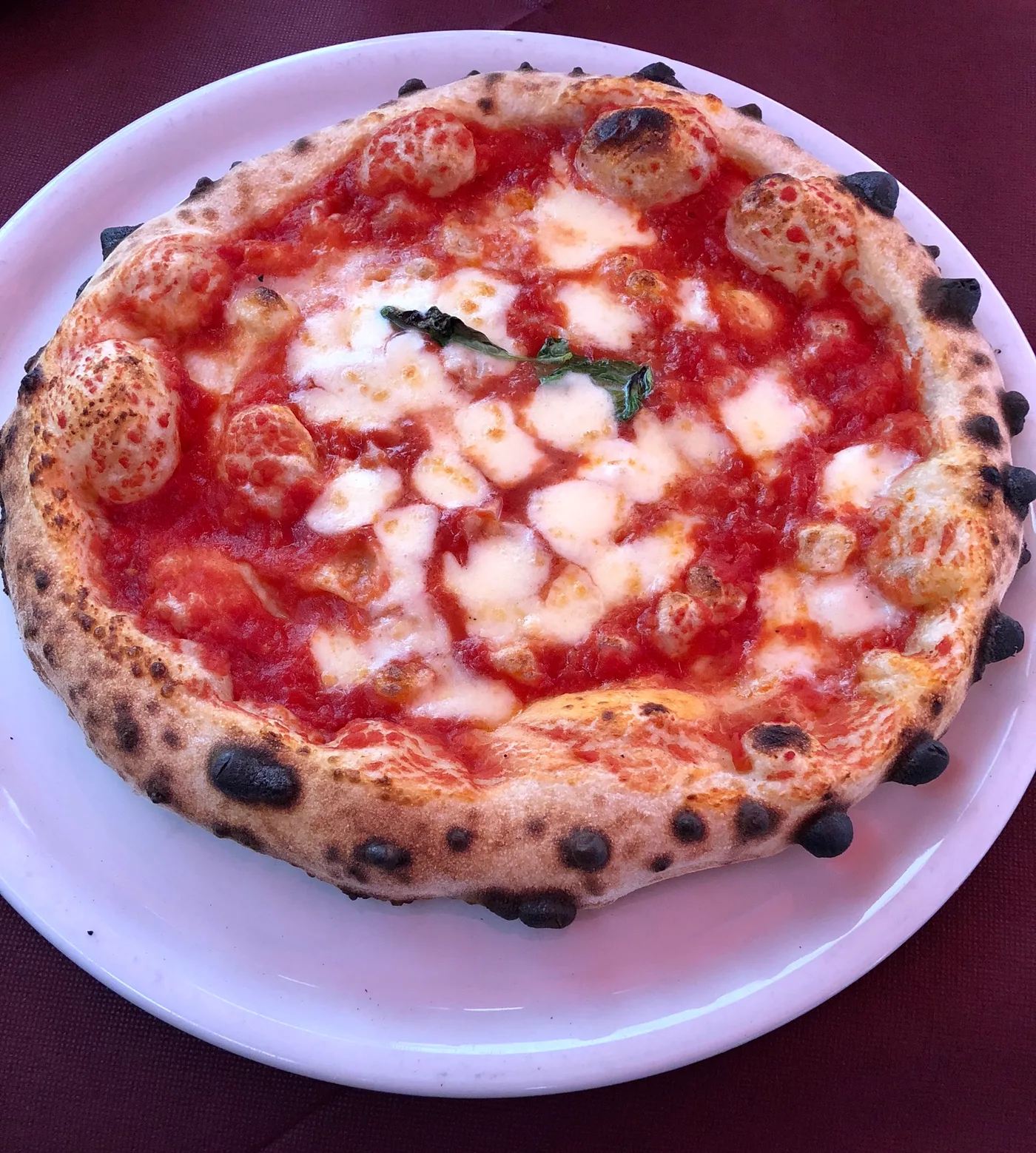 Pizza Margherita mit geblähtem, dunkel geflecktem Rand auf weißem Teller