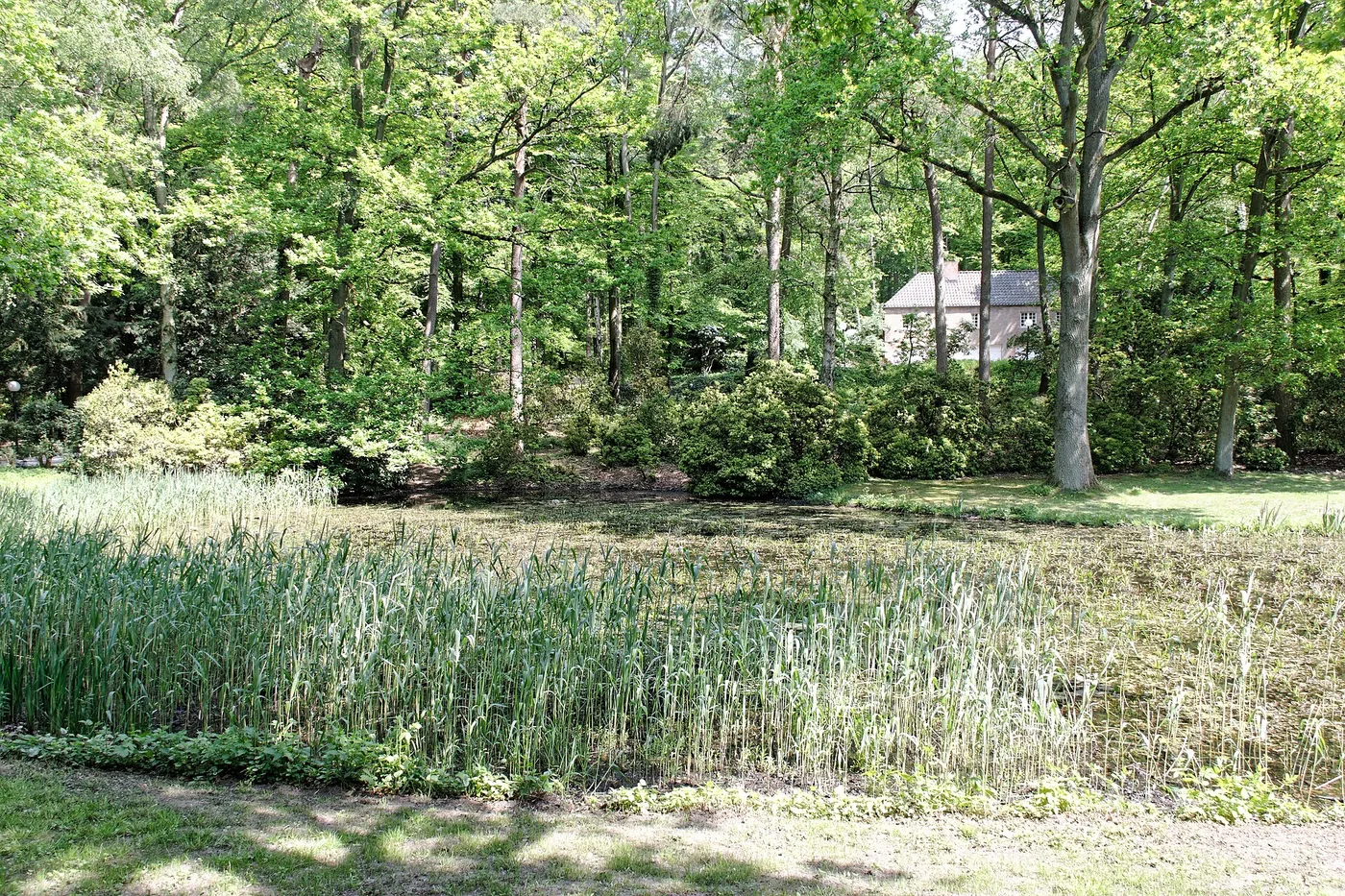Wiese und alter Baumbestand im Sven-Simon-Park