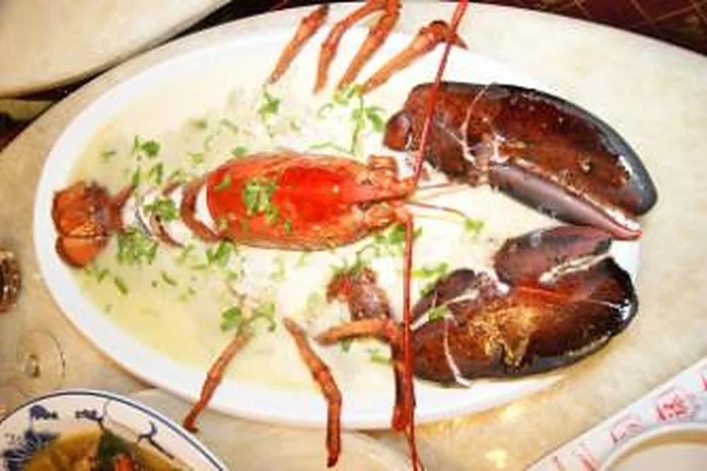 Ganzer Hummer in heller Sauce auf einer ovalen Platte