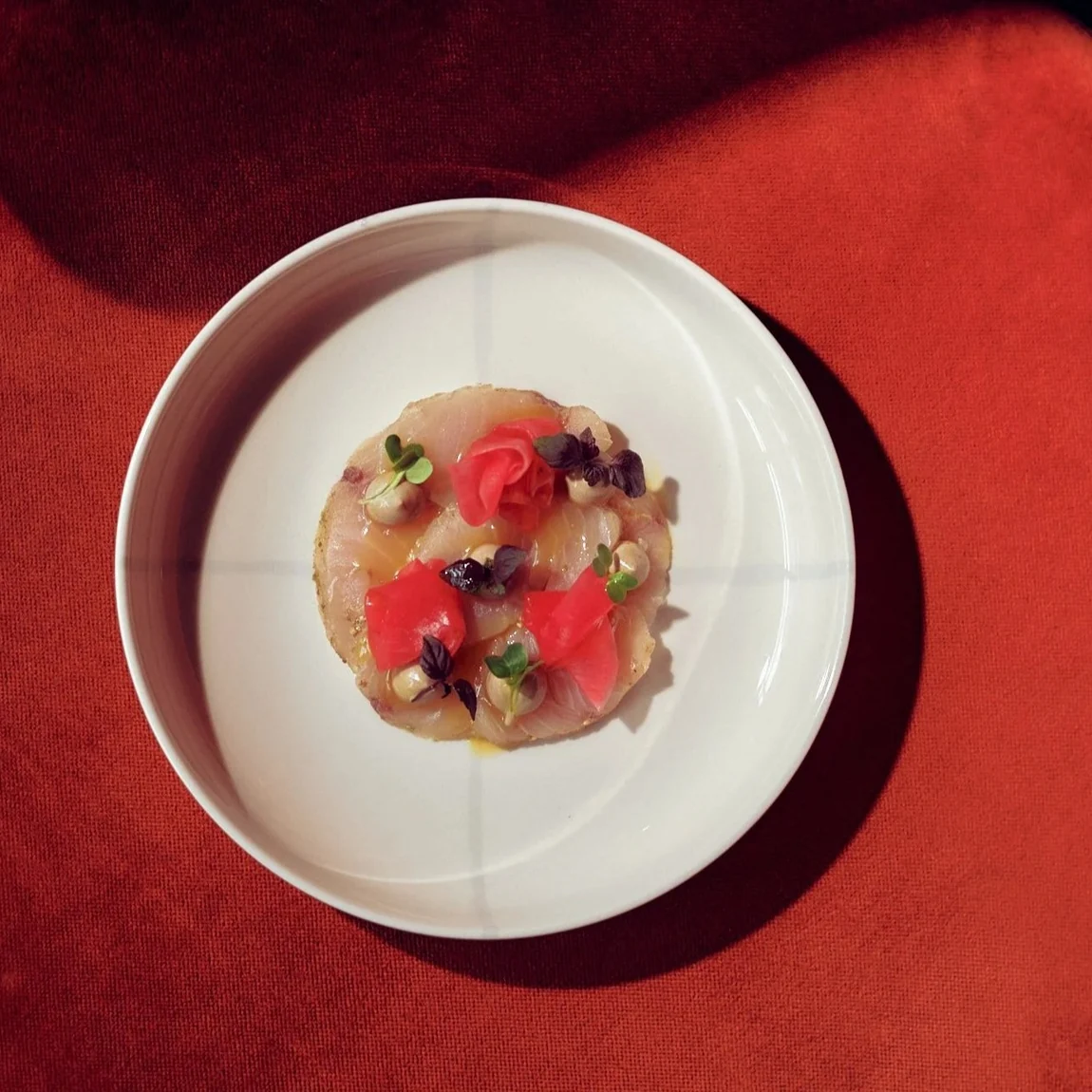Ceviche mit eingelegten Zwiebeln und Kräutern auf weißem Teller vor rotem Samt