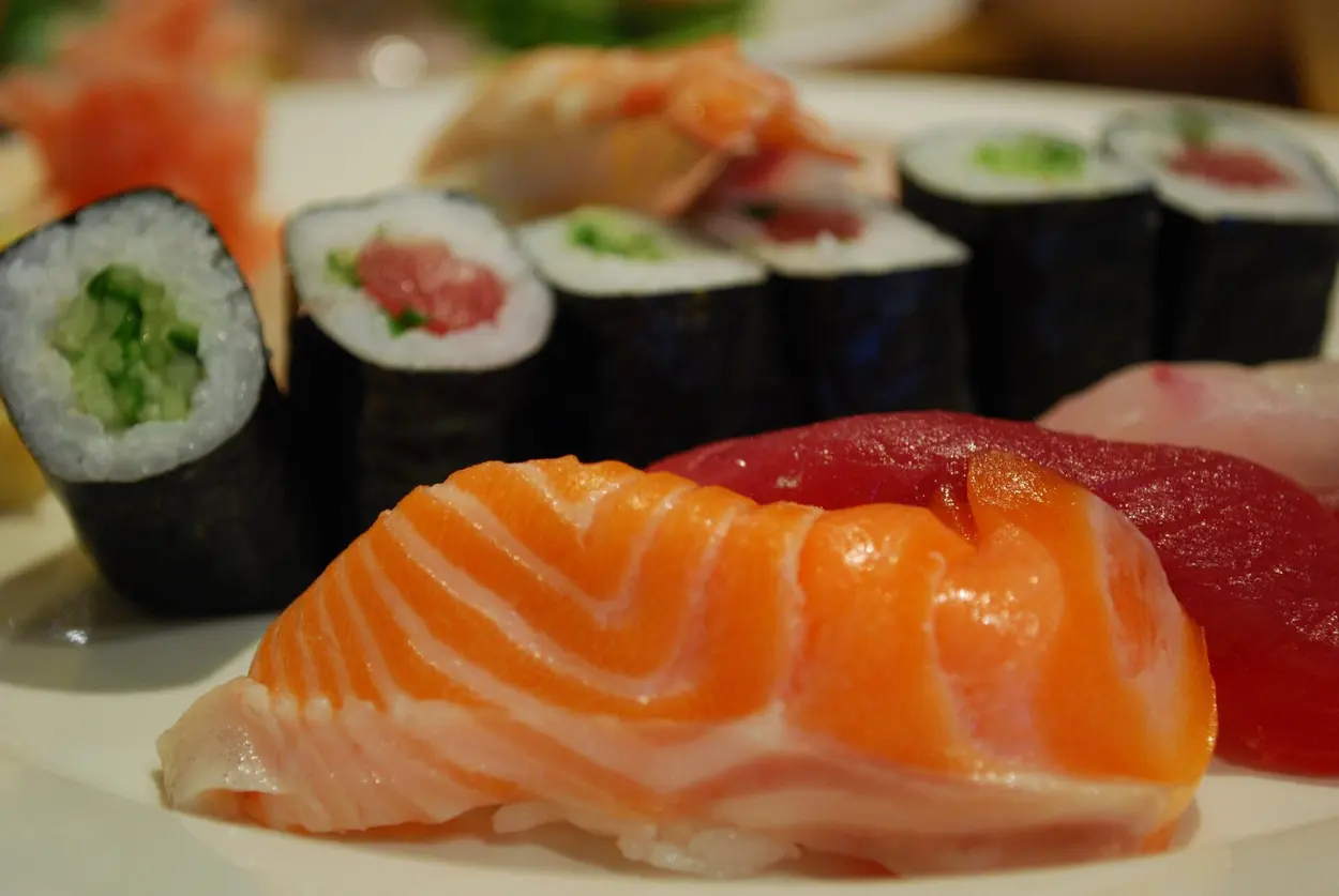 Nigiri mit Lachs im Vordergrund, dahinter Makirollen mit Gurke und Thunfisch