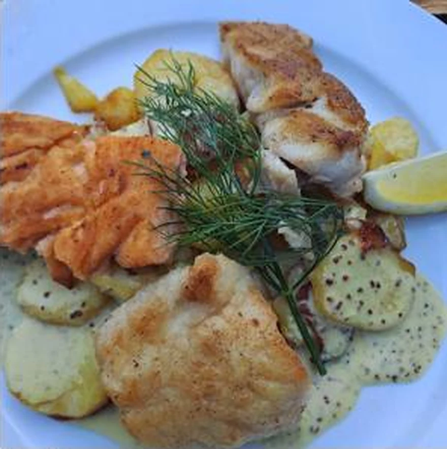 Gebratene Fischfilets mit Kartoffelscheiben, Dill und Senfsauce auf weißem Teller